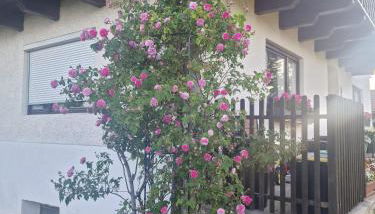 Ferienhaus Josefine - Foto 5