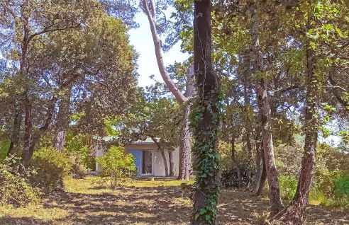 Gorgeous Home In Besse Sur Issole - Foto 14