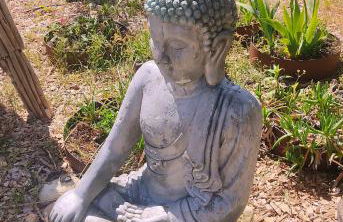 vensac ocean montalivet - Foto 38