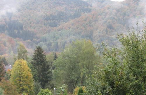 FeWo Harz Haennig 2 - Foto 41