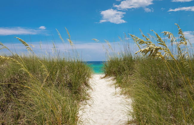 Cute Beach Cottage Steps to the Beach! Panama City Beach, FL! - Photo 37