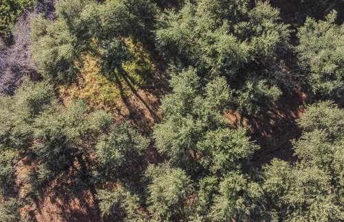 Koralia's Villas - Foto 7