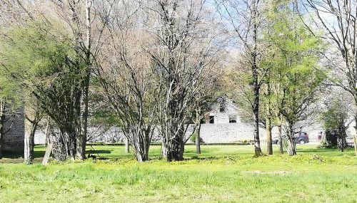 Gîte Essentiel - La Dauvinerie - Foto 3