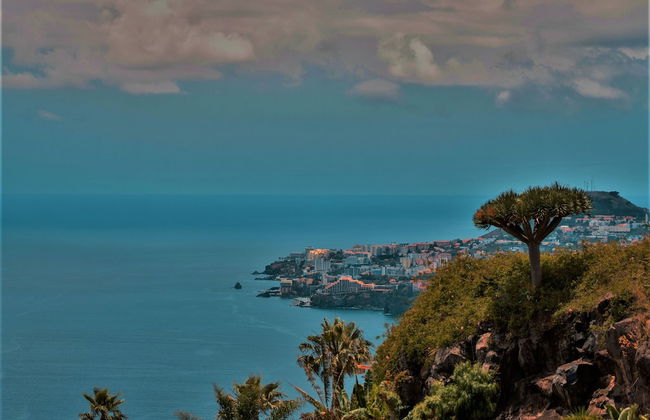 Villa Loreina Palace - Foto 50