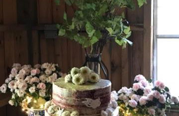 Valle Crucis Farm - Foto 19