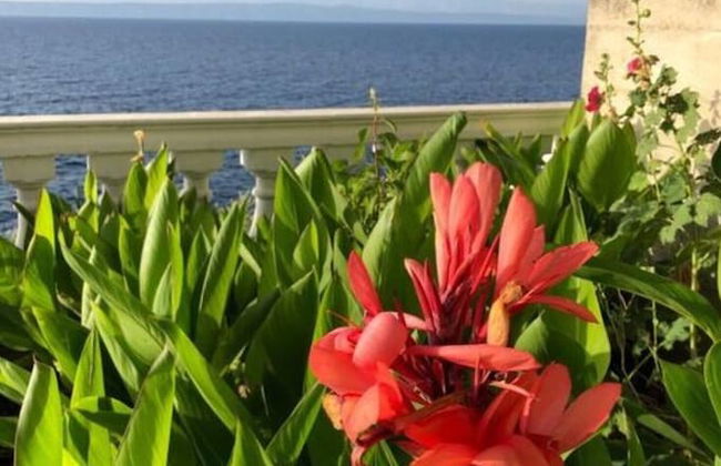 in Haus Tomica Comfortable Holiday Residence - Foto 20