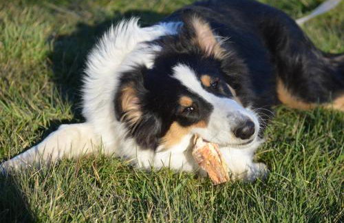 radlerunterkunft Grabau Nr.1 - Foto 22