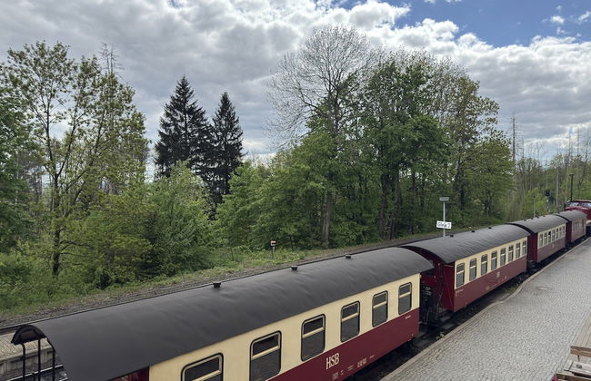 Apartment in Harz Near Brocken Railway - Foto 31