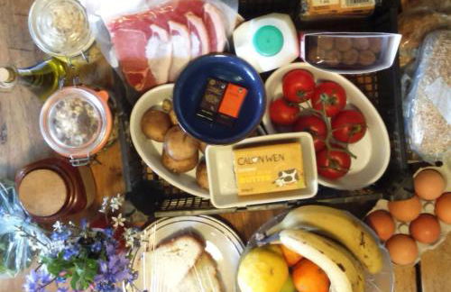 The Cwtsh at Ffynnon Clun: unique. - Photo 9