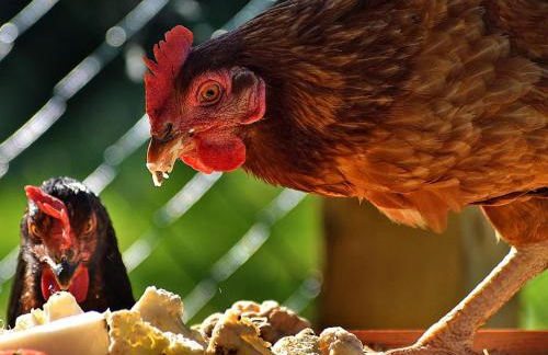 Charming 2-Bed Cabin in Domfront-en-Poiraie - Foto 2