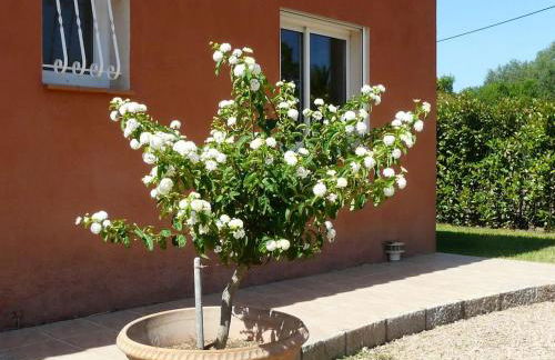 Superbe villa avec piscine vue mer, proche plage et Porticcio - Foto 18