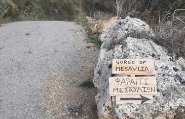 Mesavlia Traditional Stone House - Photo 50