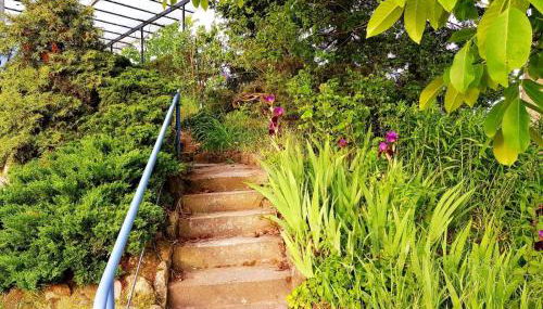 Ferienhaus Gransee unmittelbar am Stechlinsee - Radweg - Foto 2