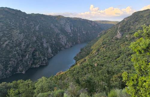 Cabañas Miraduero - Foto 31