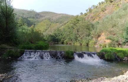 Casa do Rio - Foto 1