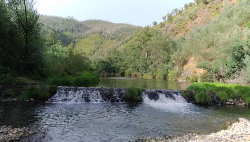 Casa do Rio - Foto 1