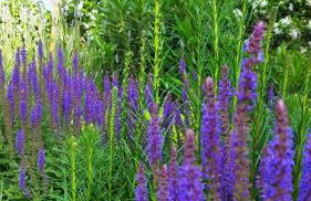 Villa Residence Franziskus - Foto 66