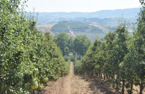 Villa in Casais de Santa Helena - Photo 35