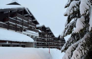 Appartement PRAZ DE LYS TMB - Foto 15