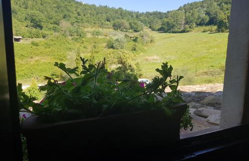 Agriturismo Santa Giusta - Foto 25