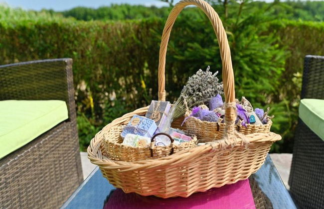 Lavanda Land - Villatanya Mrežnica - Foto 33