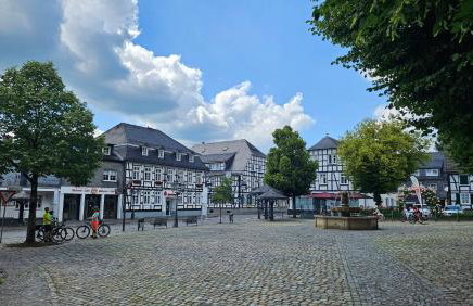 Natur-Design "Platzhirsch Sauerland" - Sauna, Kamin, Balkon, Garten, Hütte, Grill - Foto 51