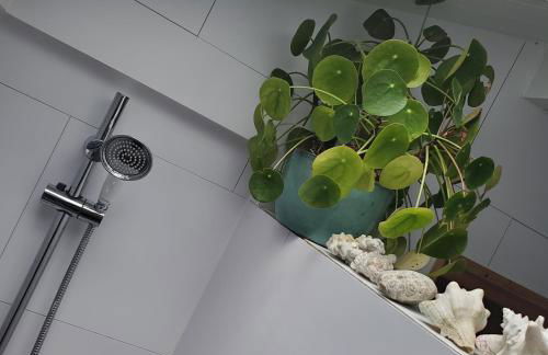 Jolie maison en bois climatisée Proche Lac&Océan - Foto 45