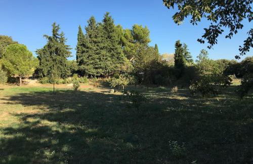 FLC - Large Charming House - Swimming Pool - Foto 37