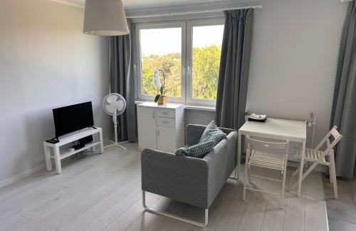 APARTAMENT OS ZŁOTE 5d - Foto 9