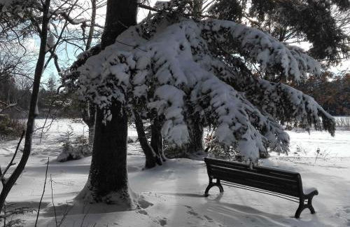 Ferienwohnung Bienenherz - Foto 27