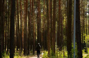 Ten Mały Domek - Foto 56