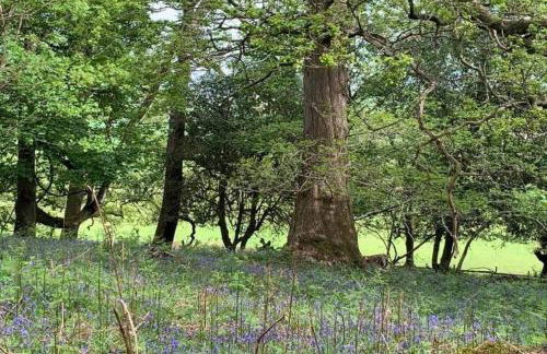 Barton Cottage - Foto 22