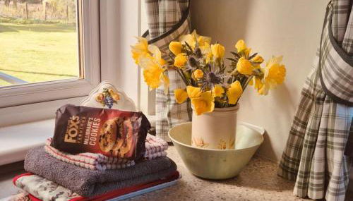 Pinetree Cottage, dog friendly, Holiday let, Callander Invertrossachs - Foto 4