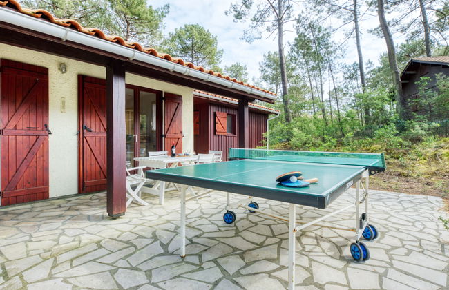 Les Sylvaines - Foto 23