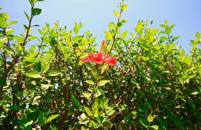 Kiriana Villa by LeaderStay - Photo 30