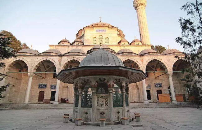 Social House - Foto 20