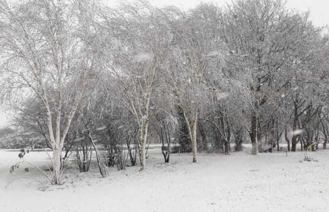 Chalet in Holiday Park With Private Terrace - Photo 23