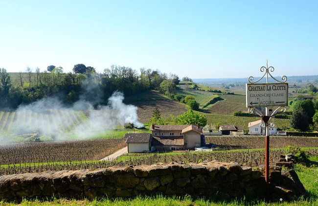 "Explora Saint-Émilion en bicicletas eléctricas: Grupo pequeño, excursión de medio día" - Foto 21