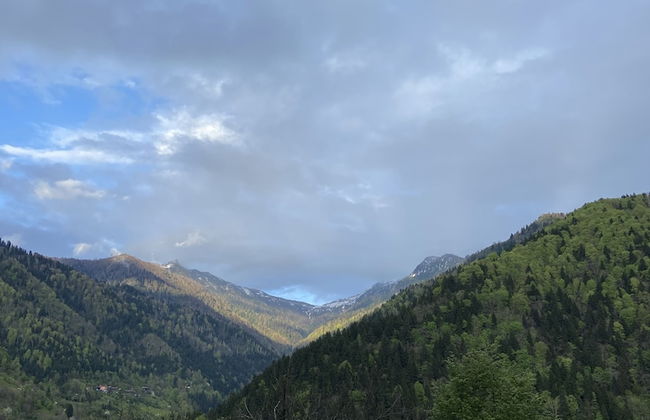 Leyli Comfort - Foto 12