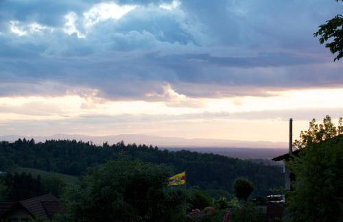 Ferienwohnung Kist - Foto 8