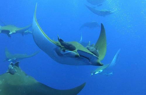 Apartamentos Lisboa - Foto 45