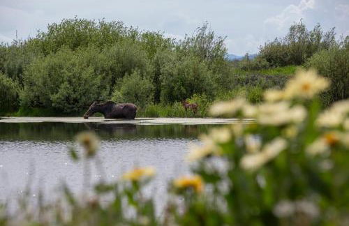 Remington Retreat by KABINO Dog Friendly FirePit Sleeper Sofa WiFi Grill - Foto 23