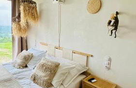 Zarnowa464 - Foto 30