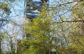 Ferienwohnung Sternenwald - Foto 44