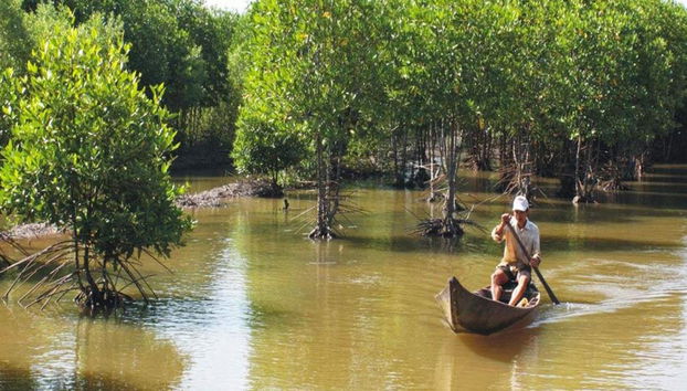 Vam Sat Mangrovenwald-Tour ab Ho-Chi-Minh-Stadt - Foto 5
