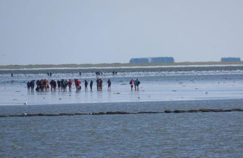 Ferienhaus Zur Alten Post 1 - Photo 17