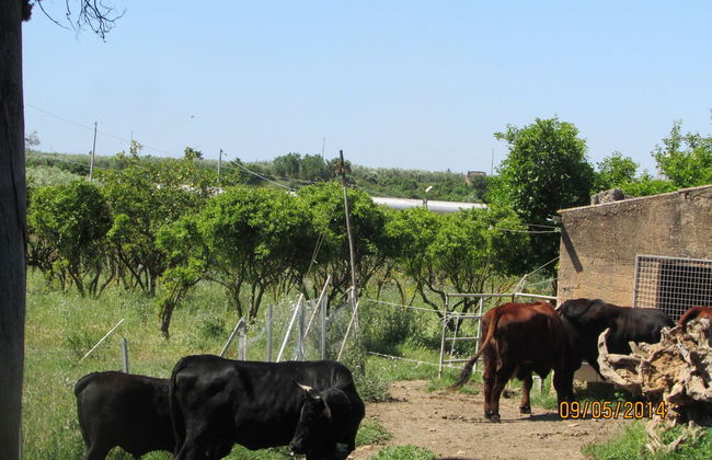 Agriturismo Carbona - Photo 12