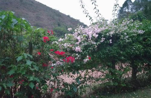 Quinta da Pedra do Elefante - Foto 54