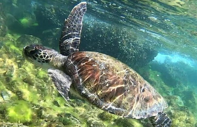 VISTA INCRIVEL PRAIA GRANDE - Foto 44