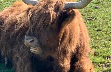 Inveravon Holiday Home - Foto 28